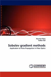Sobolev Gradient Methods