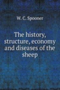 history, structure, economy and diseases of the sheep