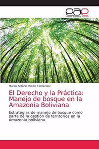 Derecho y la Práctica