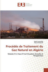 Procédés de Traitement du Gaz Naturel en Algérie