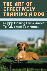 The Art Of Effectively Training A Dog