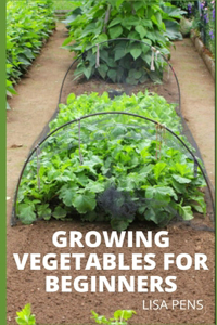Growing Vegetables for Beginners