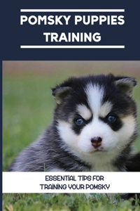 Pomsky Puppies Training