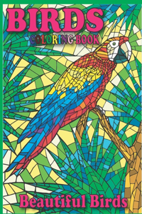 Beautiful Birds Coloring Book