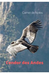 Carnet de Notes Condor des Andes