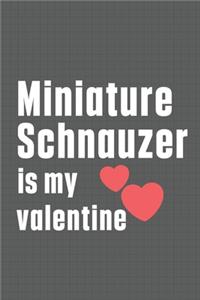 Miniature Schnauzer is my valentine