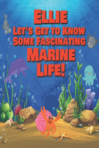Ellie Let's Get to Know Some Fascinating Marine Life!