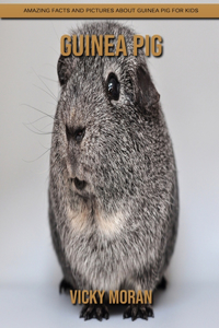Guinea pig
