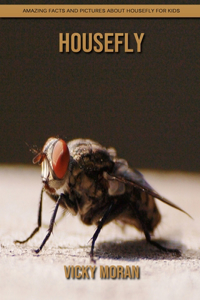 Housefly