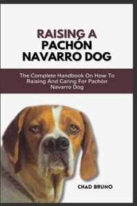 Raising a Pachón Navarro Dog