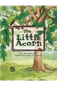 Little Acorn
