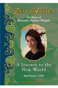 Journey to the New World (Dear America)