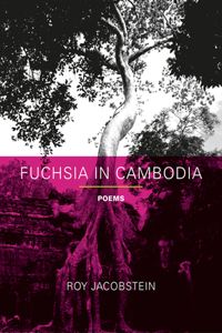 Fuchsia in Cambodia