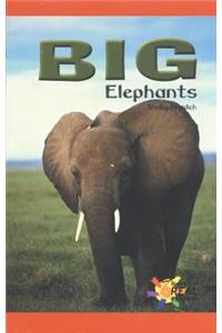 Big Elephants