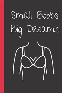 Small Boobs. Big Dreams