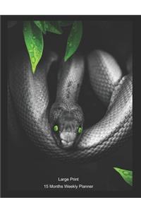 Large Print - 2020 - 15 Months Weekly Planner - Reptile - Green Eyed Snake