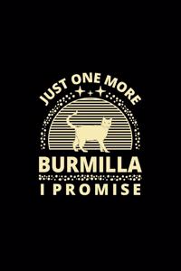Just One More Burmilla I Promise