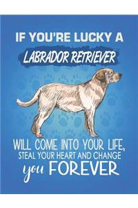 If You're Lucky A Labrador Retriever Will Come Into Your Life, Steal Your Heart And Change You Forever