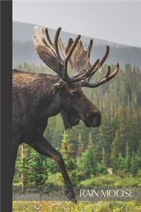 Rain Moose