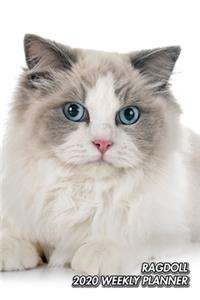 Ragdoll 2020 Weekly Planner