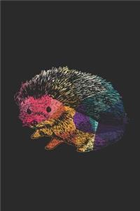 Hedgehog Colors