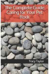 Complete Guide Caring for Your Pet Rock