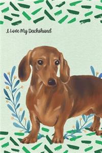 I Love My Dachshund