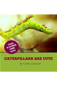 Caterpillars Are Cute