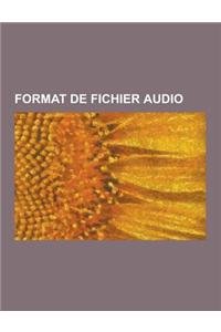 Format de Fichier Audio: Vorbis, MPEG-1-2 Audio Layer 3, Advanced Audio Coding, Free Lossless Audio Codec, Mxp4, Broadcast Wave Format, Format