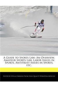 A Guide to Sports Law