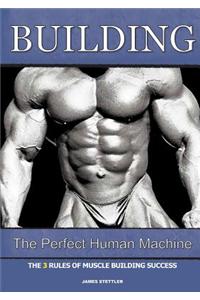 Building the Perfect Human Machine: The 3 Rules of Muscle Building Success