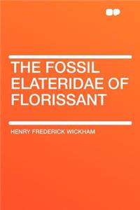 The Fossil Elateridae of Florissant