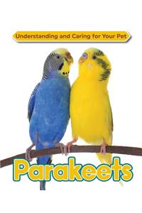 Parakeet