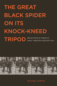 Great Black Spider on Its Knock-Kneed Tripod