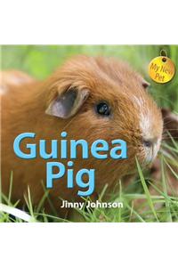 My New Pet: Guinea Pig
