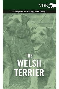 Welsh Terrier - A Complete Anthology of the Dog