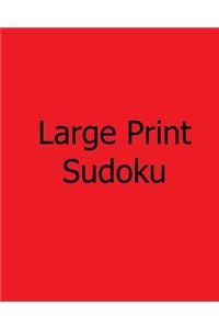 Large Print Sudoku