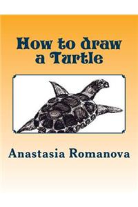 How to draw a Turtle