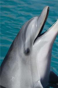 Playful Dolphin Journal
