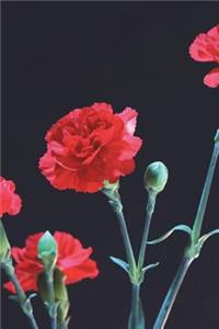 Ohio State Flower - Red Carnation Journal