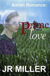 Amish Romance