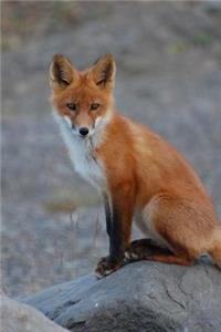 Red Fox on a Log Journal