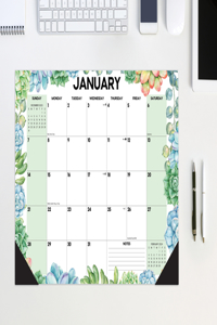 Succulents 2024 17 X 12 Desk Pad