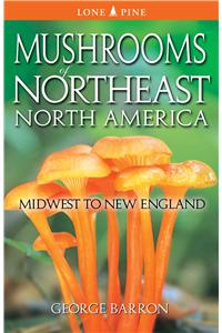 Mushrooms of Northeast North America