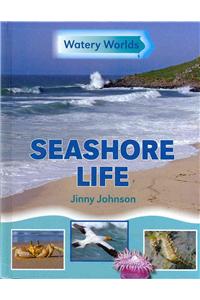 Seashore Life