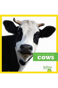 Cows
