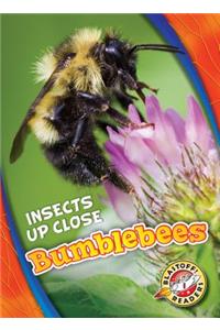 Bumblebees