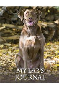 My Lab's Journal