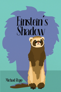 Einstein's Shadow