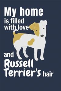 My home is filled with love and Russell Terrier's hair
